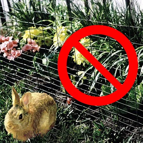 Keep Rabbits out of garden